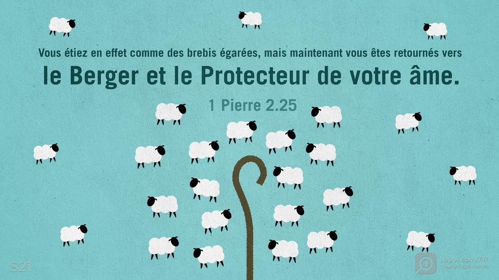 1 Pierre 2.25: Vous étiez en effet comme des brebis égarées, mais maintenant vous êtes retournés vers le Berger et le Protecteur de votre âme.