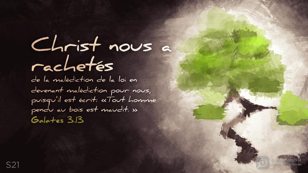 Galates 3.13: Christ nous a rachetés de la malédiction de la loi en devenant malédiction pour nous, puisqu’il est écrit: «Tout homme pendu au bois est maudit. »