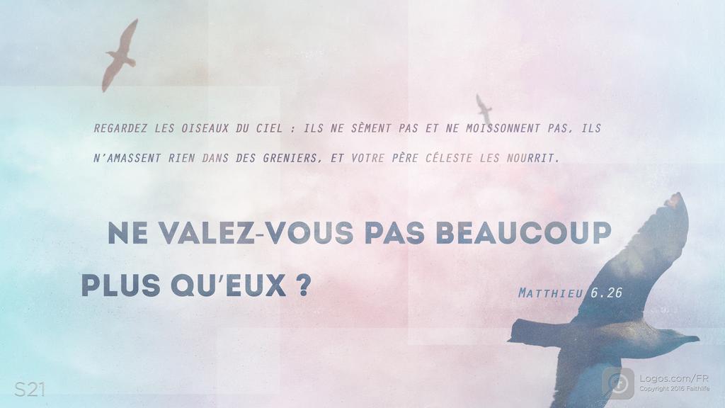 Matthieu 6.26: REGARDEZ LES OISEAUX DU CIEL : ILS NE SÈMENT PAS ET NE MOISSONNENT PAS, ILS N’AMASSENT RIEN DANS DES GRENIERS, ET VOTRE PÈRE CÉLESTE LES NOURRIT. NE VALEZ-VOUS PAS BEAUCOUP PLUS QU’EUX ?