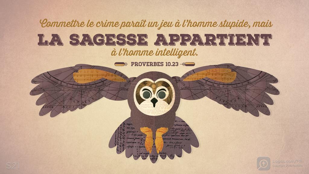 Proverbes 10.23: Commettre le crime paraît un jeu à l’homme stupide, mais LA SAGESSE APPARTIENT à l’homme intelligent.