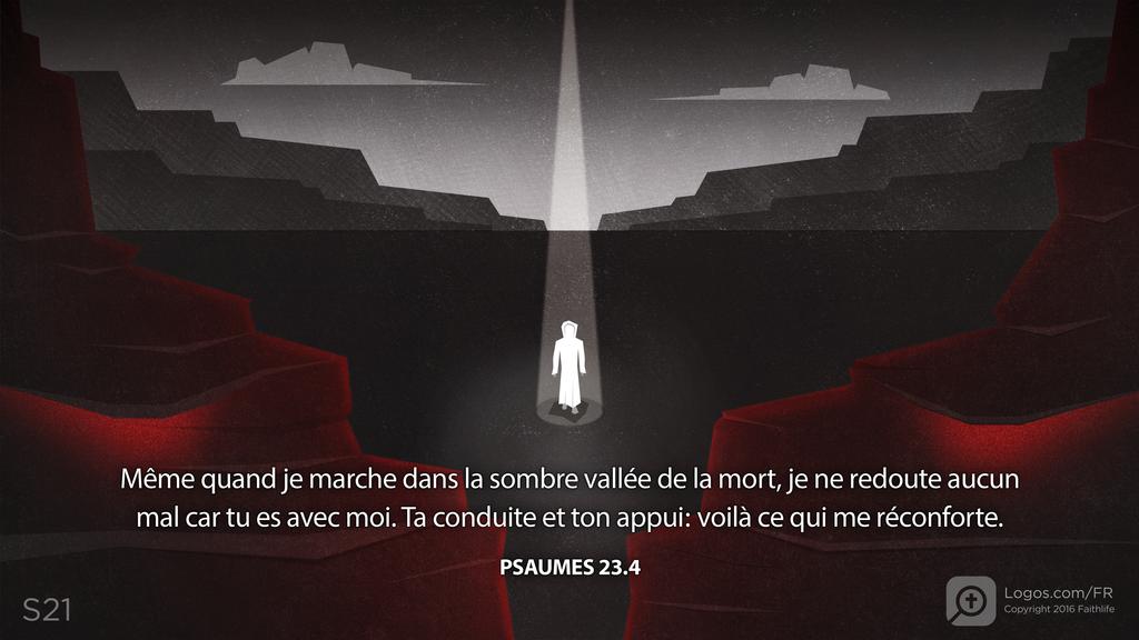 Psaumes 23.4: Même quand je marche dans la sombre vallée de la mort, je ne redoute aucun mal car tu es avec moi. Ta conduite et ton appui: voilà ce qui me réconforte.