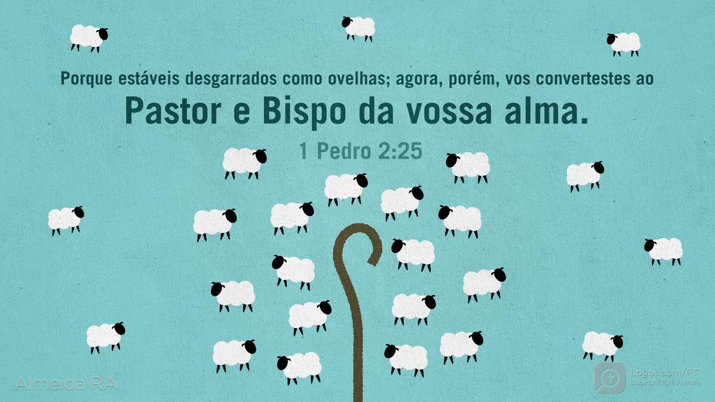 1Pedro 2.25: Porque estáveis desgarrados como ovelhas; agora, porém, vos convertestes ao Pastor e Bispo da vossa alma.