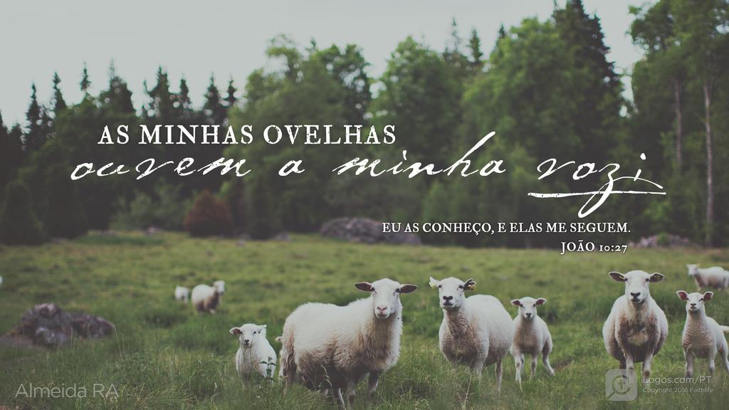 João 10.27: AS MINHAS OVELHAS ouvem a minha voz; EU AS CONHEÇO, E ELAS ME SEGUEM.