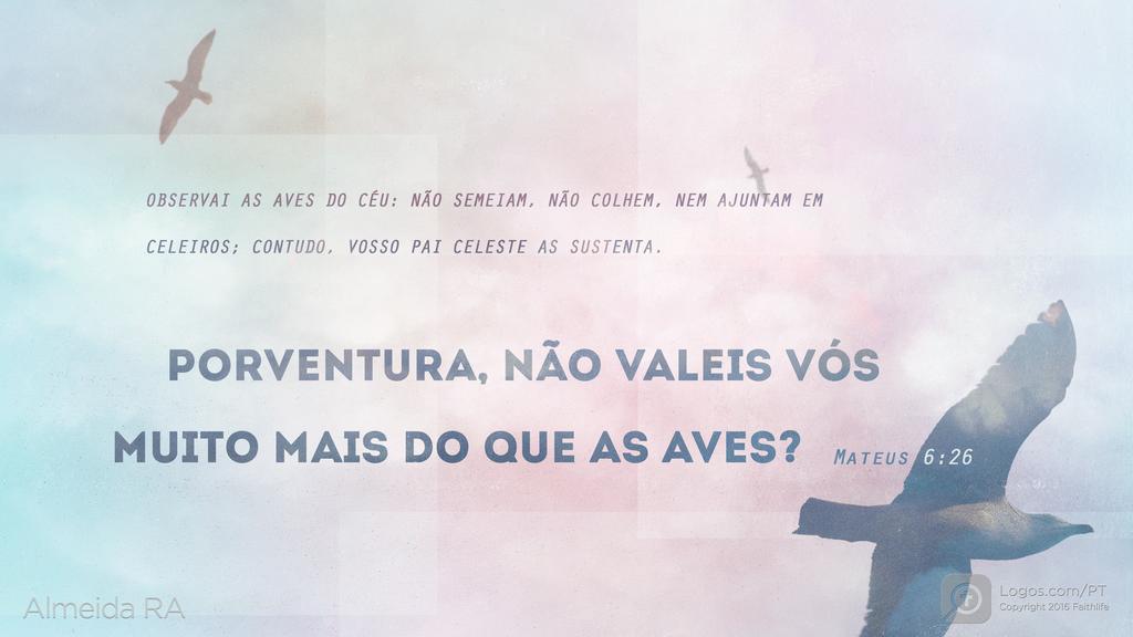 Mateus 6.26: OBSERVAI AS AVES DO CÉU: NÃO SEMEIAM, NÃO COLHEM, NEM AJUNTAM EM CELEIROS; CONTUDO, VOSSO PAI CELESTE AS SUSTENTA. PORVENTURA, NÃO VALEIS VÓS MUITO MAIS DO QUE AS AVES?