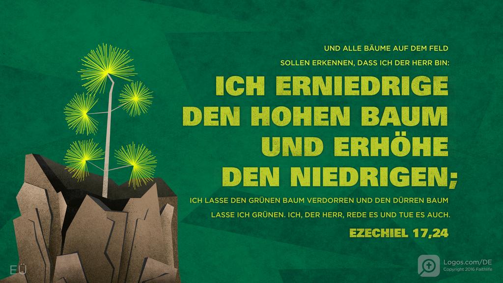 Hesekiel 17,24: UND ALLE BÄUME AUF DEM FELD SOLLEN ERKENNEN, DASS ICH DER HERR BIN: ICH ERNIEDRIGE DEN HOHEN BAUM UND ERHÖHE DEN NIEDRIGEN; ICH LASSE DEN GRÜNEN BAUM VERDORREN UND DEN DÜRREN BAUM LASSE ICH GRÜNEN. ICH, DER HERR, REDE ES UND TUE ES AUCH.