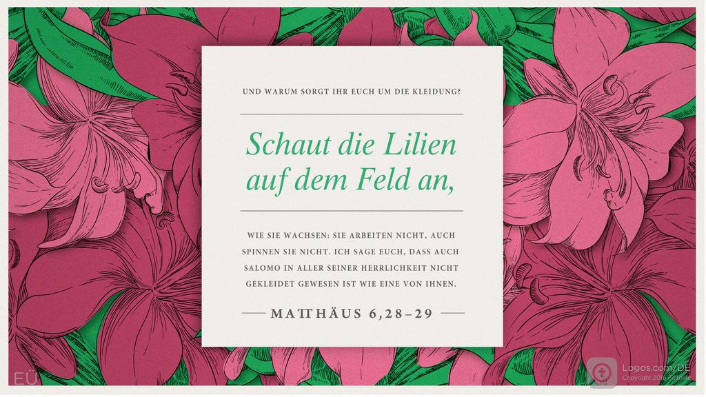 Matthäus 6,28–29: UND WARUM SORGT IHR EUCH UM DIE KLEIDUNG? Schaut die Lilien auf dem Feld an, WIE SIE WACHSEN: SIE ARBEITEN NICHT, AUCH SPINNEN SIE NICHT. ICH SAGE EUCH, DASS AUCH SALOMO IN ALLER SEINER HERRLICHKEIT NICHT GEKLEIDET GEWESEN IST WIE EINE VON IHNEN.