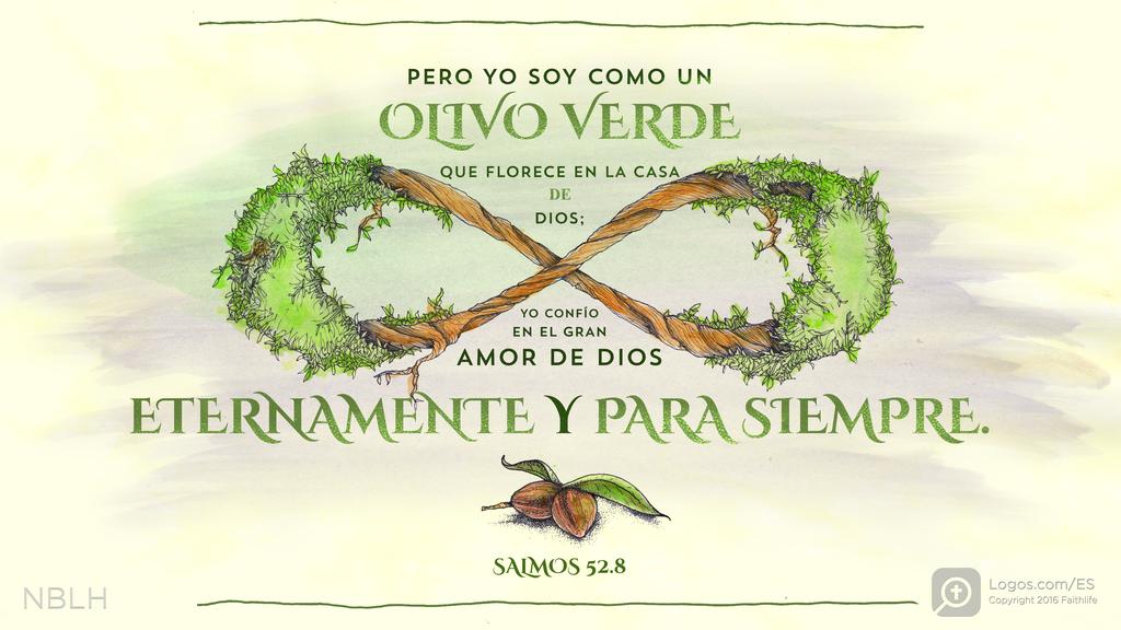 Salmo 52:8: Pero yo soy como un olivo verde que florece en la casa de Dios; yo confío en el gran amor de Dios eternamente y para siempre.