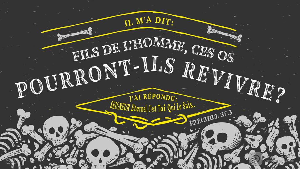 Ézéchiel 37.3: IL M’A DIT: FILS DE L’HOMME, CES OS POURRONT-ILS REVIVRE? J’AI RÉPONDU: SEIGNEUR ETERNEL, C’EST TOI QUI LE SAIS.