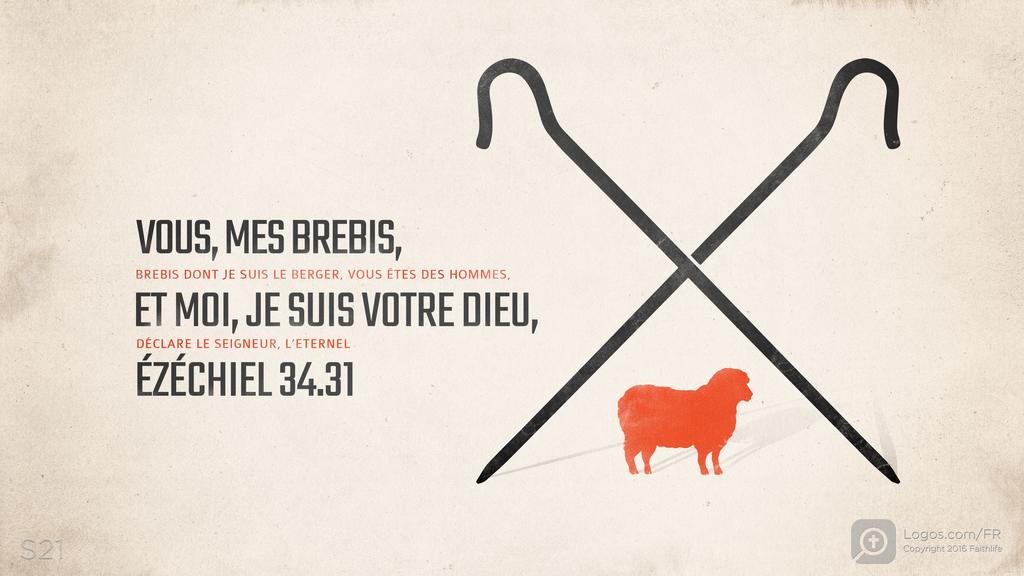Ézéchiel 34.31: VOUS, MES BREBIS, BREBIS DONT JE SUIS LE BERGER, VOUS ÊTES DES HOMMES, ET MOI, JE SUIS VOTRE DIEU, DÉCLARE LE SEIGNEUR, L’ETERNEL