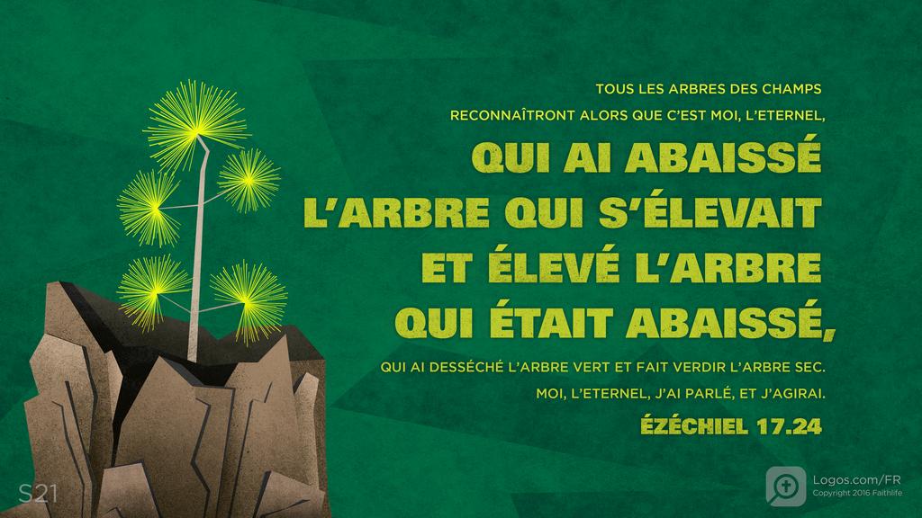 Ézéchiel 17.24: TOUS LES ARBRES DES CHAMPS RECONNAÎTRONT ALORS QUE C’EST MOI, L’ETERNEL, QUI AI ABAISSÉ L’ARBRE QUI S’ÉLEVAIT ET ÉLEVÉ L’ARBRE QUI ÉTAIT ABAISSÉ, QUI AI DESSÉCHÉ L’ARBRE VERT ET FAIT VERDIR L’ARBRE SEC. MOI, L’ETERNEL, J’AI PARLÉ, ET J’AGIRAI.