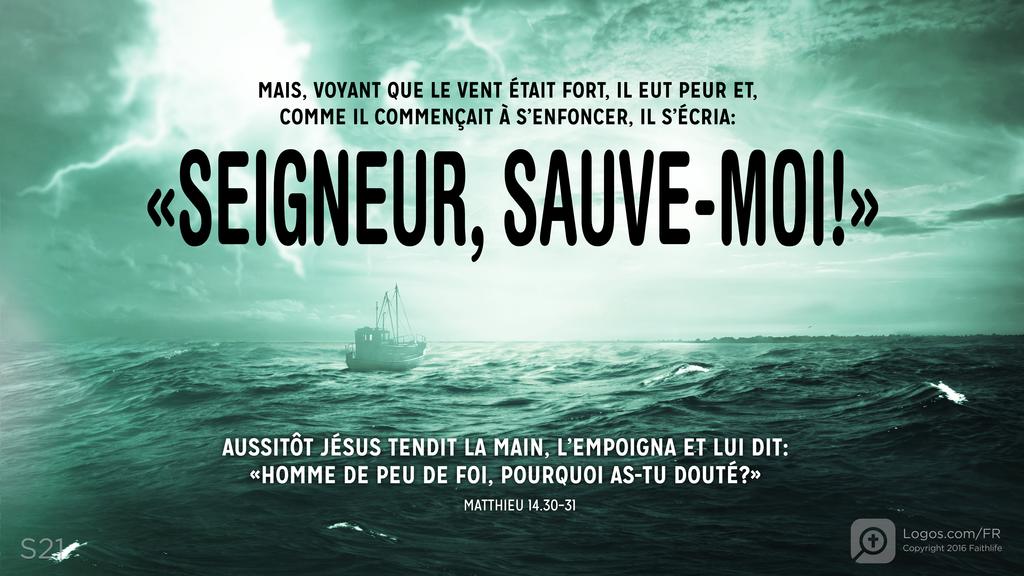 Matthieu 14.30–31: MAIS, VOYANT QUE LE VENT ÉTAIT FORT, IL EUT PEUR ET, COMME IL COMMENÇAIT À S’ENFONCER, IL S’ÉCRIA: «SEIGNEUR, SAUVE-MOI!» AUSSITÔT JÉSUS TENDIT LA MAIN, L’EMPOIGNA ET LUI DIT: «HOMME DE PEU DE FOI, POURQUOI AS-TU DOUTÉ?»