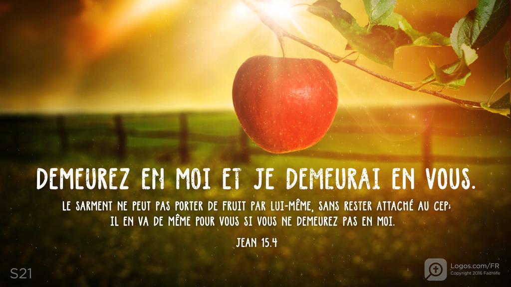 Jean 15.4: DEMEUREZ EN MOI ET JE DEMEURAI EN VOUS. LE SARMENT NE PEUT PAS PORTER DE FRUIT PAR LUI-MÊME, SANS RESTER ATTACHÉ AU CEP ; IL EN VA DE MÊME POUR VOUS SI VOUS NE DEMEUREZ PAS EN MOI.