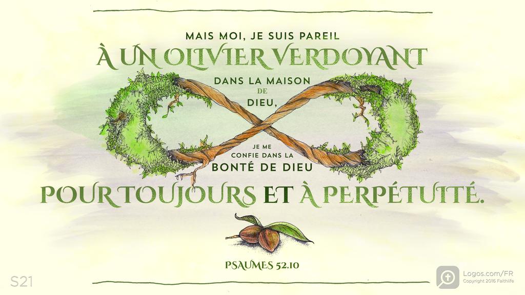Psaumes 52.8: MAIS MOI, JE SUIS PAREIL À UN OLIVIER VERDOYANT DANS LA MAISON DE DIEU, JE ME CONFIE DANS LA BONTÉ DE DIEU POUR TOUJOURS ET À PERPÉTUITÉ.