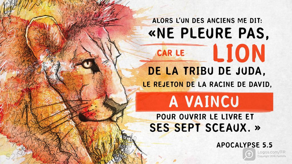 Apocalypse 5.5: ALORS L’UN DES ANCIENS ME DIT: «NE PLEURE PAS, CAR LE LION DE LA TRIBU DE JUDA, LE REJETON DE LA RACINE DE DAVID, A VAINCU POUR OUVRIR LE LIVRE ET SES SEPT SCEAUX. »