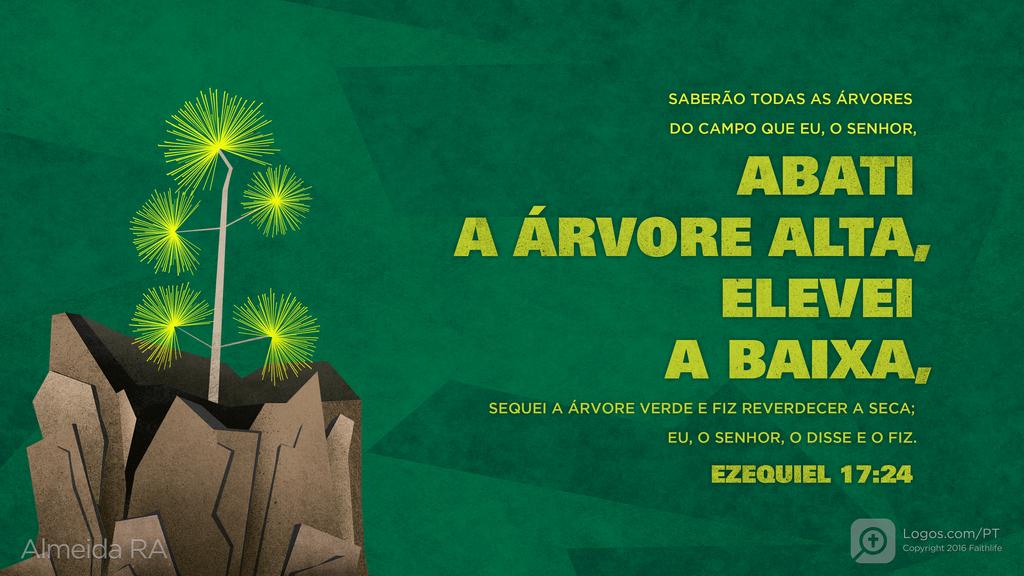 Ezequiel 17.24: SABERÃO TODAS AS ÁRVORES DO CAMPO QUE EU, O SENHOR, ABATI A ÁRVORE ALTA, ELEVEI A BAIXA, SEQUEI A ÁRVORE VERDE E FIZ REVERDECER A SECA; EU, O SENHOR, O DISSE E O FIZ.