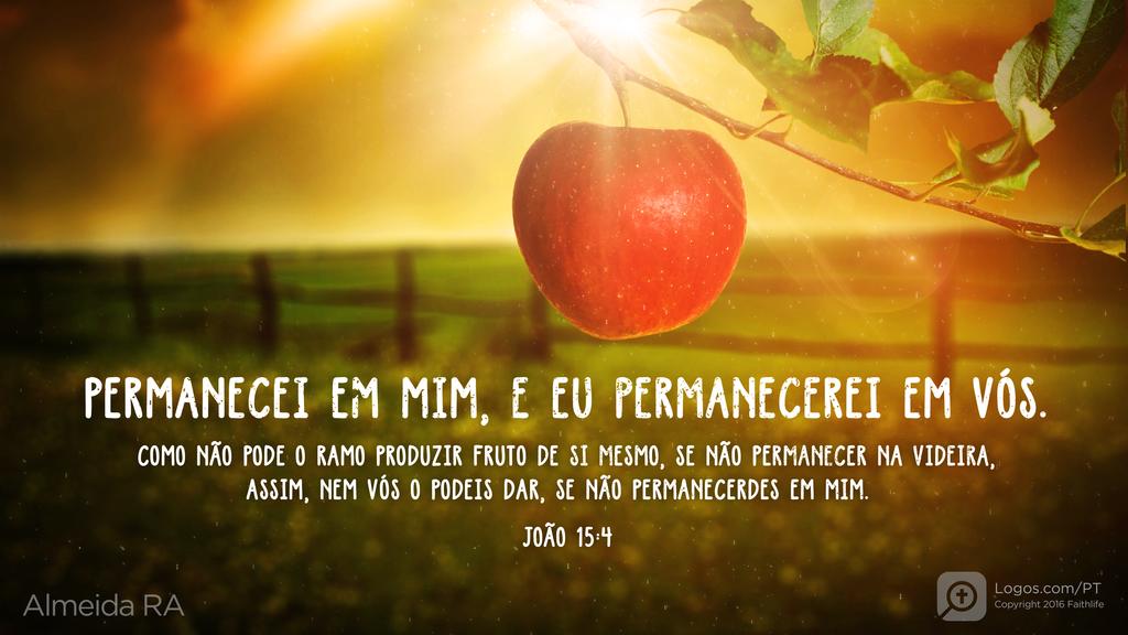 João 15.4: PERMANECEI EM MIM, E EU PERMANECEREI EM VÓS. COMO NÃO PODE O RAMO PRODUZIR FRUTO DE SI MESMO, SE NÃO PERMANECER NA VIDEIRA, ASSIM, NEM VÓS O PODEIS DAR, SE NÃO PERMANECERDES EM MIM.