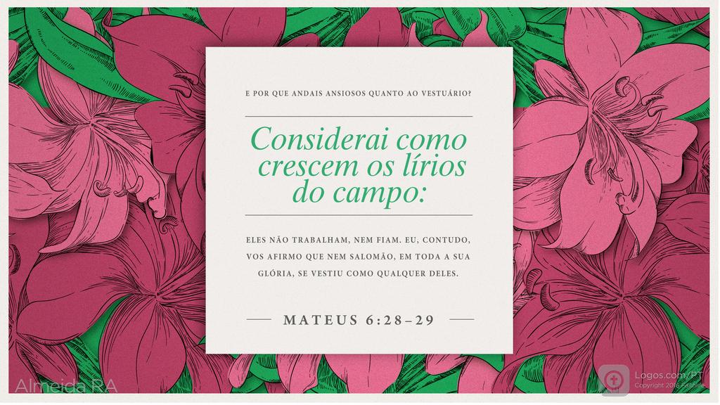 Mateus 6.28–29: E POR QUE ANDAIS ANSIOSOS QUANTO AO VESTUÁRIO? Considerai como crescem os lírios do campo: ELES NÃO TRABALHAM, NEM FIAM. EU, CONTUDO, VOS AFIRMO QUE NEM SALOMÃO, EM TODA A SUA GLÓRIA, SE VESTIU COMO QUALQUER DELES.