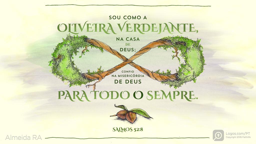 Salmo 52.8: SOU COMO A OLIVEIRA VERDEJANTE, NA CASA DE DEUS; CONFIO NA MISERICÓRDIA DE DEUS PARA TODO O SEMPRE.