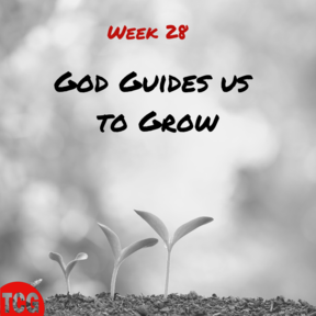 He Guides Us to Grow