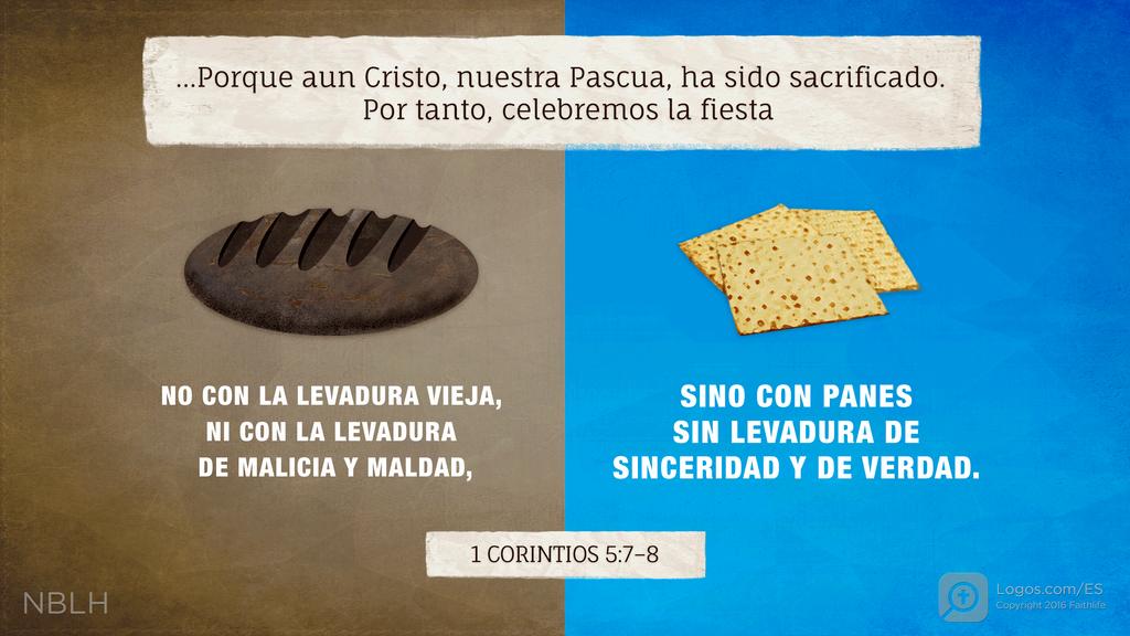 1 Corintios 5:7–8: ...Porque aun Cristo, nuestra Pascua, ha sido sacrificado. Por tanto, celebremos la fiesta NO CON LA LEVADURA VIEJA, NI CON LA LEVADURA DE MALICIA Y MALDAD, SINO CON PANES SIN LEVADURA DE SINCERIDAD Y DE VERDAD.