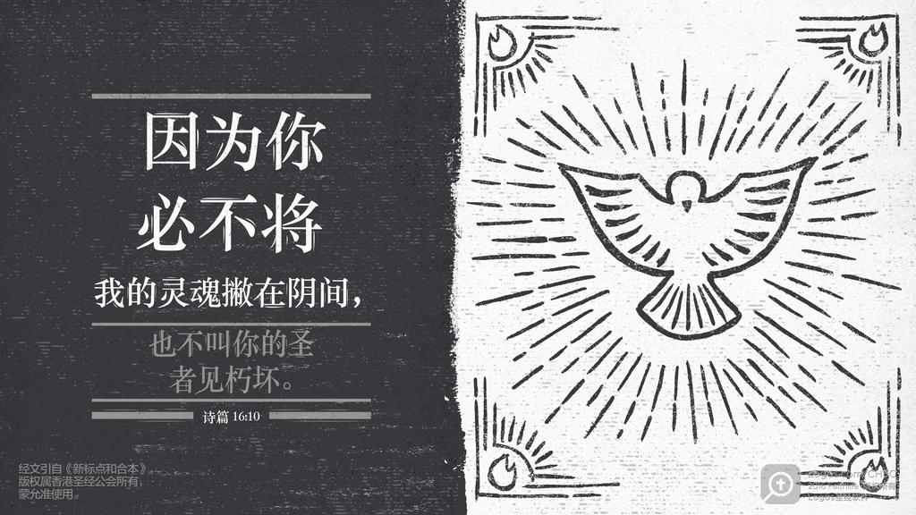 诗篇 16：10: 因为你必不将我的灵魂撇在阴间，也不叫你的圣者见朽坏。