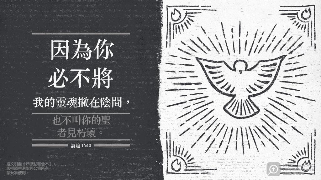 詩篇 16：10: 因為你必不將我的靈魂撇在陰間，也不叫你的聖者見朽壞。