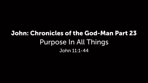 Purpose In All Things