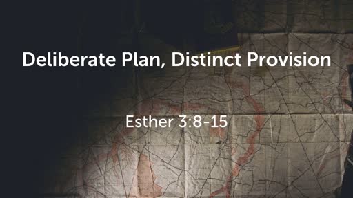 Deliberate Plan, Distinct Provision 2