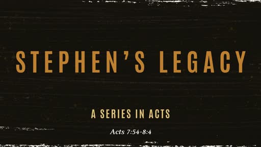 Stephen's Legacy