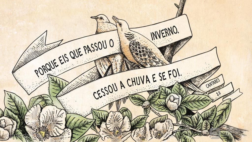 Cântico 2.11: PORQUE EIS QUE PASSOU O INVERNO, CESSOU A CHUVA E SE FOI.