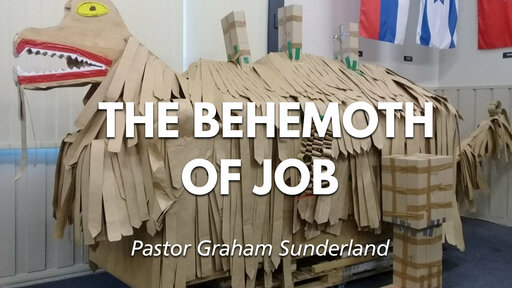 The Behemoth of Job