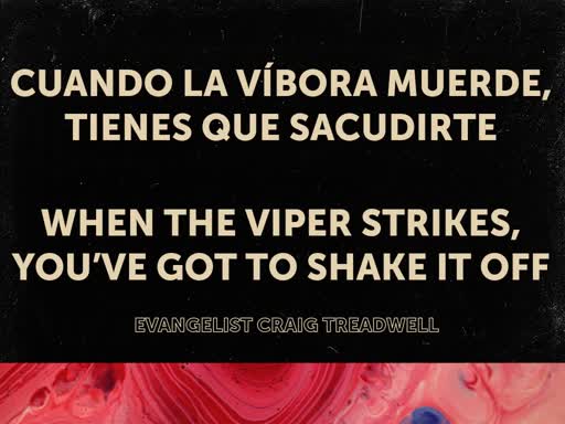 Cuando la vibora muerder tienes que sacudirte /  When the viper strikes you've got to shake it off