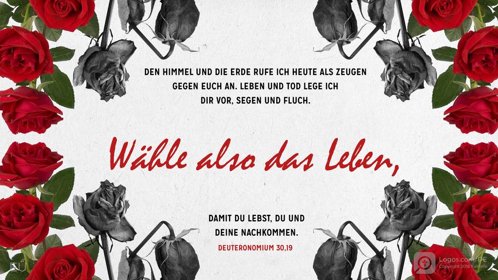 Deuteronomium 30,19: DEN HIMMEL UND DIE ERDE RUFE ICH HEUTE ALS ZEUGEN GEGEN EUCH AN. LEBEN UND TOD LEGE ICH DIR VOR, SEGEN UND FLUCH. Wähle also das Leben, DAMIT DU LEBST, DU UND DEINE NACHKOMMEN.