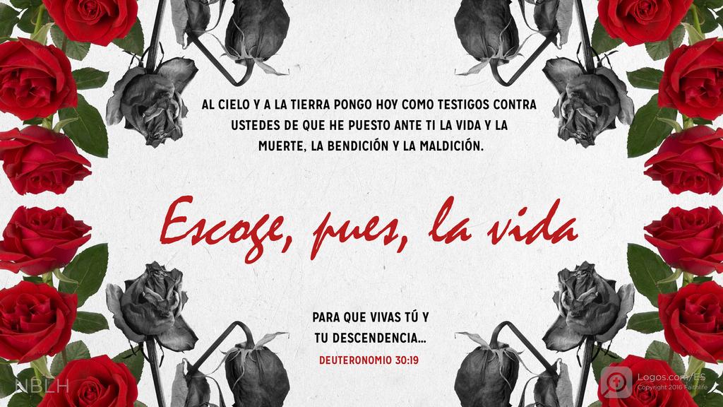 Deuteronomio 30:19: AL CIELO Y A LA TIERRA PONGO HOY COMO TESTIGOS CONTRA USTEDES DE QUE HE PUESTO ANTE TI LA VIDA Y LA MUERTE, LA BENDICIÓN Y LA MALDICIÓN. Escoge, pues, la vida PARA QUE VIVAS TÚ Y TU DESCENDENCIA…