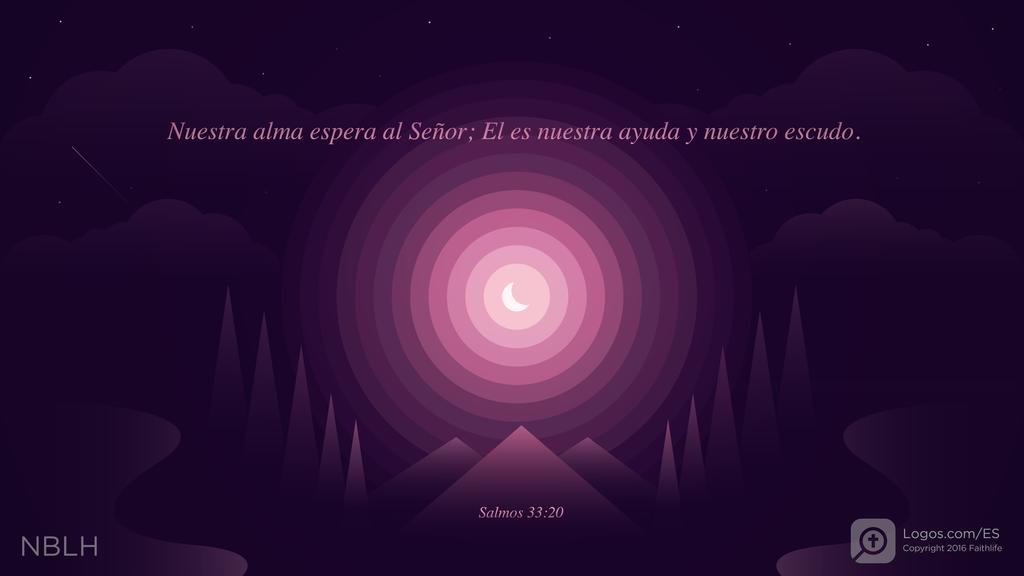 Salmo 33:20: Nuestra alma espera al Señor; El es nuestra ayuda y nuestro escudo.