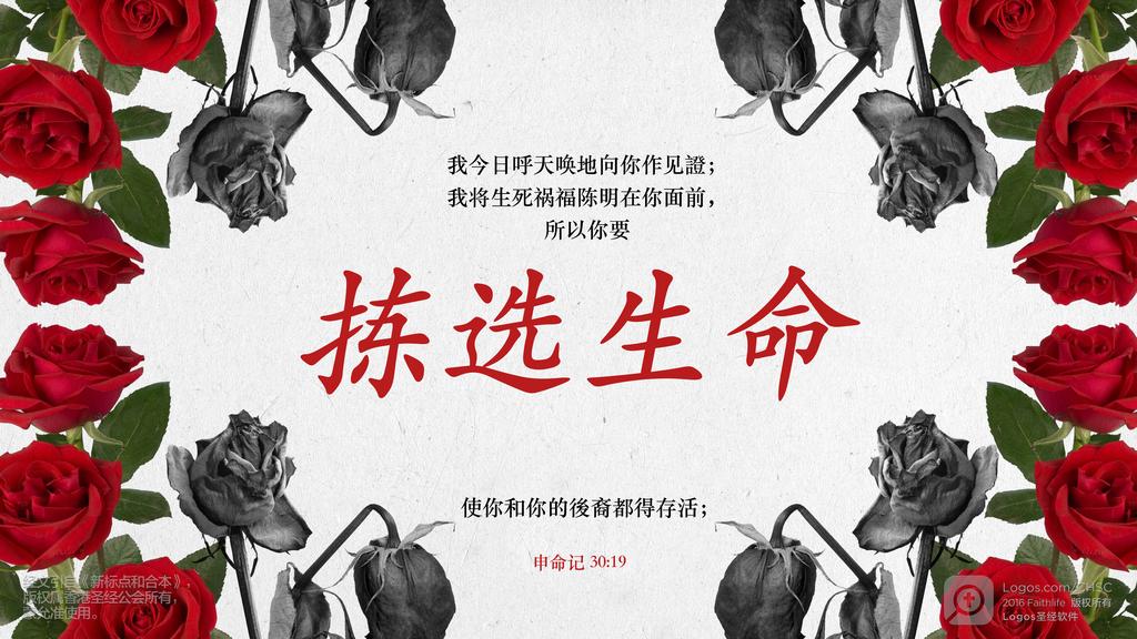 申命记 30：19: 我今日呼天唤地向你作见證；我将生死祸福陈明在你面前，所以你要拣选生命使你和你的後裔都得存活；