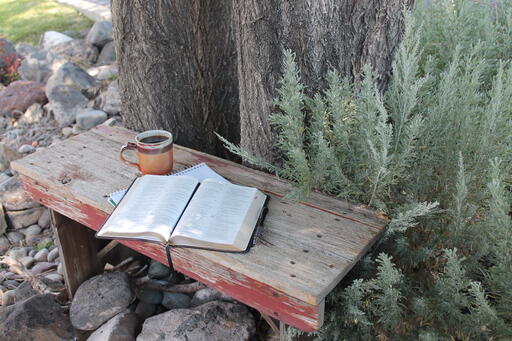 IMG 7501 IMG 7501