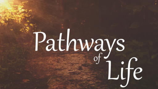 Pathways of Life