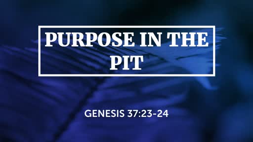 Purpose in the Pit