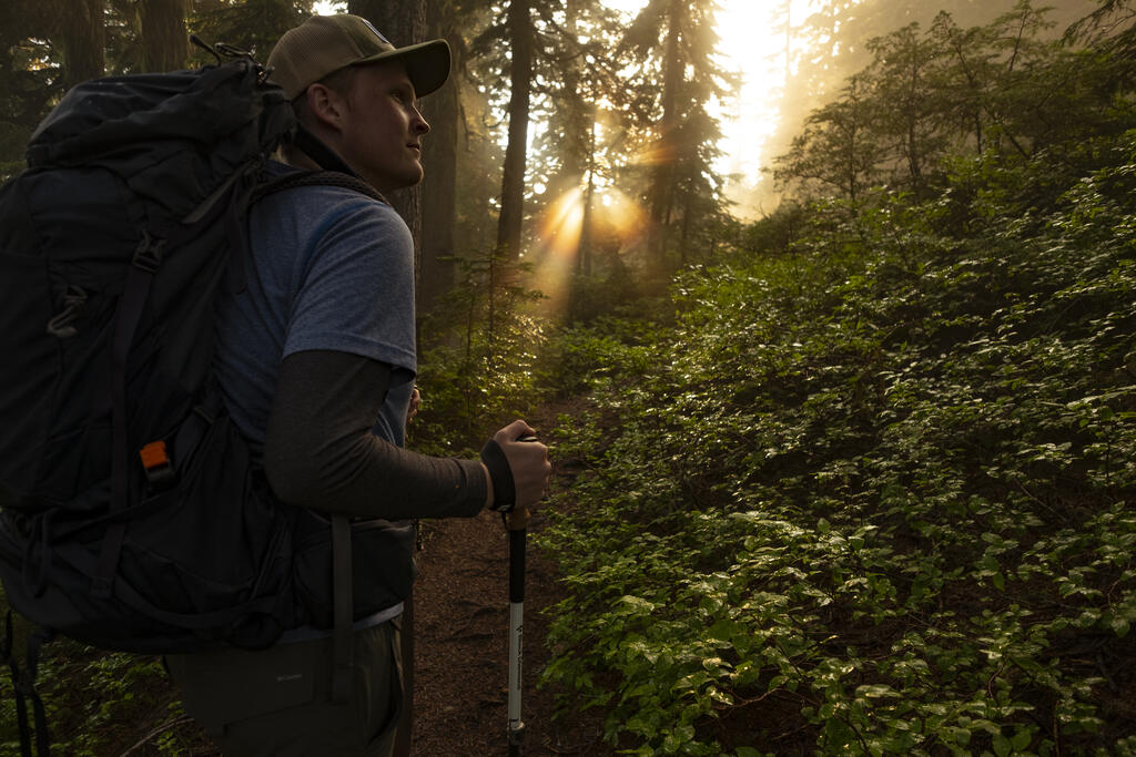 Man Hiking through Forest large preview