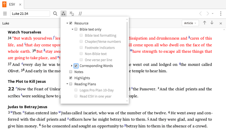 Corresponding Words Visual Filter