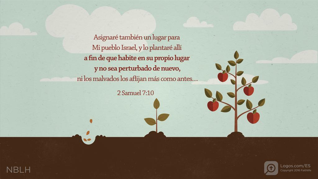 2º Samuel 7:10: Asignaré también un lugar para Mi pueblo Israel, y lo plantaré allí a fin de que habite en su propio lugar y no sea perturbado de nuevo, ni los malvados los aflijan más como antes…