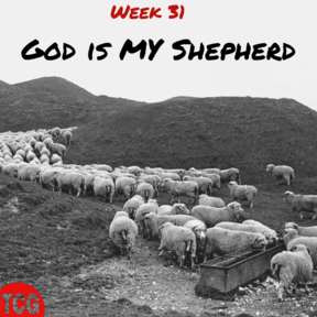 God is MY Shepherd