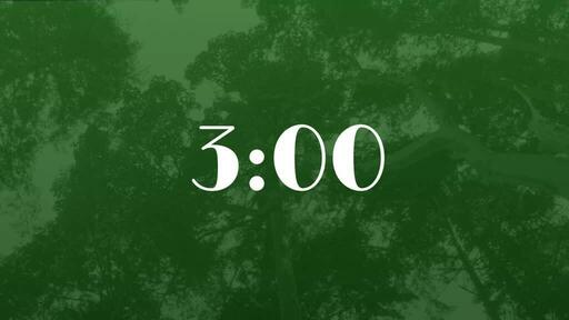 Green Trees - Countdown 3 min