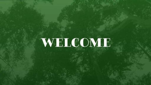 Green Trees - Welcome