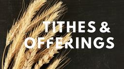 Wheat Tithes and Offerings  PowerPoint Photoshop image 1