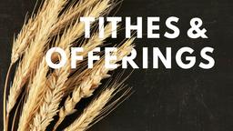 Wheat Tithes and Offerings  PowerPoint Photoshop image 2