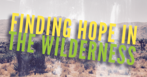 Finding Hope in the Wilderness