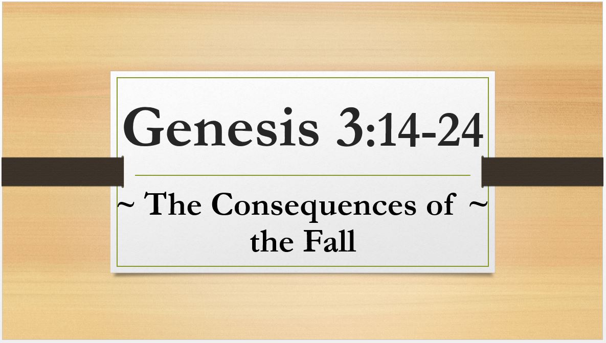 Genesis 3 14 24 Commentary Genesis 3 14 24 Commentary