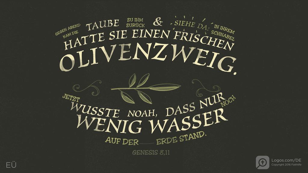 Genesis 8,11: GEGEN ABEND KAM DIE TAUBE ZU IHM ZURÜCK & SIEHE DA: IN IHREM SCHNABEL HATTE SIE EINEN FRISCHEN OLIVENZWEIG. JETZT WUSSTE NOAH, DASS NUR NOCH WENIG WASSER AUF DER ERDE STAND.